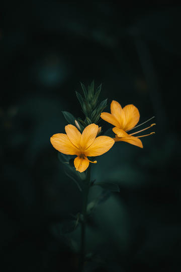 https://pan.baidu.com/s/1T4jm5-