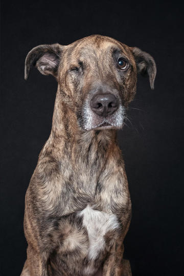 怎么跟三岁半的女儿解释爸爸在杀鱼？