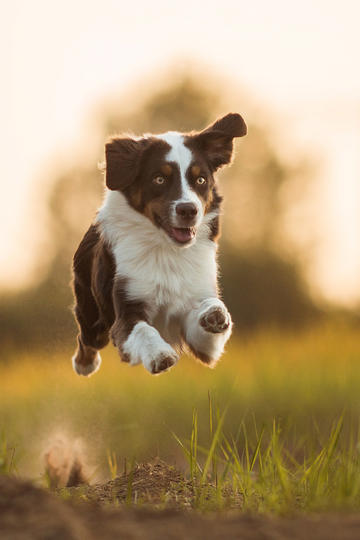 瑞典突发！已致11人死亡