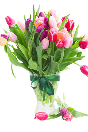 又一龙头登陆A股！本周5只新股申购