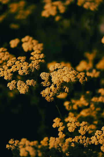 女团成员自曝严重躯体化 与公司解约