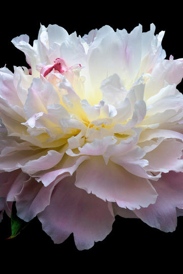 俄军高级官员在汽车爆炸中丧生