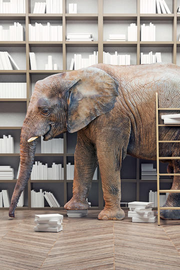 命悬一枪张晋爆爽除恶霸