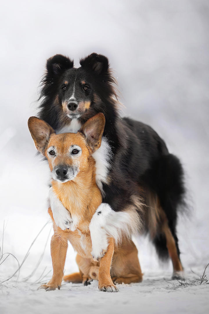 LPL 2025 赛季第一赛段淘汰赛 TES 3:1 NIP，如何评价这场比赛？